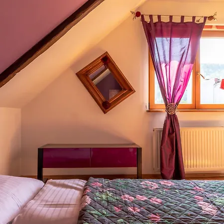 Villa Kizzy Dom Na Wylacznosc Karkonoce